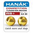 Hanak competition RS +