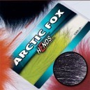 ARTIC FOX - PL14 - BLACK