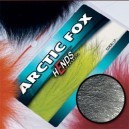 ARTIC FOX - PL13 - GREY Dk.