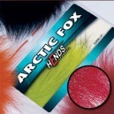 ARTIC FOX - PL06 - VINE RED