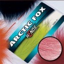 ARTIC FOX - PL05 - PINK Dk.