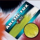 ARTIC FOX - PL02 - Chartreuse