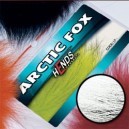 ARTIC FOX - PL00 - WHITE