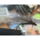 Brown caddis