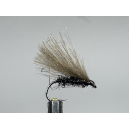 Peacock caddis